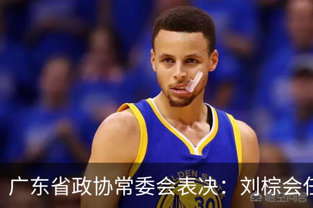 广东省政协常委会表决：刘棕会任副秘书长